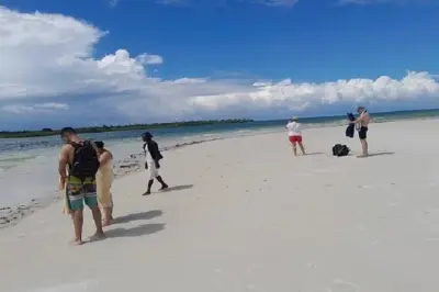 Funzi Island Tagesausflug: Mangroven, Sandbänke, Meeresschildkröten