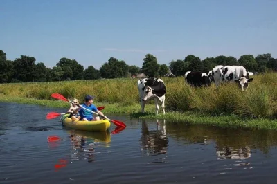 Feel the dutch countryside by bike & kayak from amsterdam, with a windmill visit, village breaks, and small group vibes. includes all gear & taxes.
