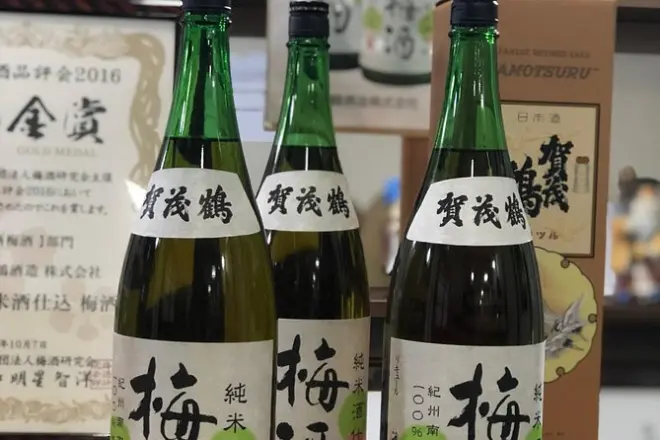 Tour delle birrerie di sake a Saijo, Hiroshima: 4-6 visite e pranzo