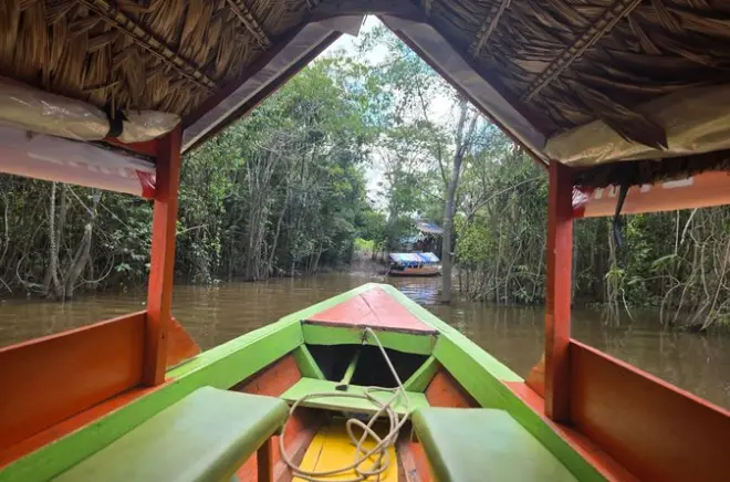 Iquitos Amazon tour: Three Rivers, butterflies & jungle village