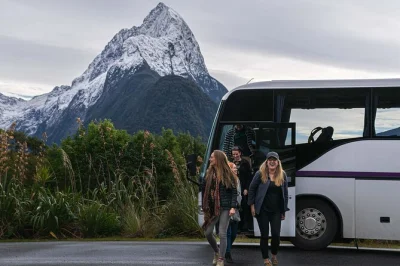 Feel the wild fiordland air, cruise beneath waterfalls, and share stories with locals on a milford sound day trip from queenstown. includes lunch & return coach.