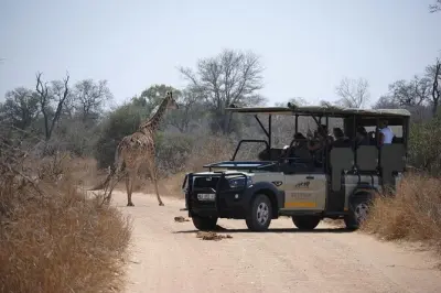 Safari Kruger depuis Hoedspruit : Journée complète dès 4h30