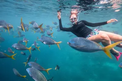 Snorkeling in South Male Atoll: Biyadhoo Reef with Private Boat