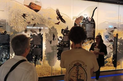 Erlebe den peloponnes bei einem privaten tagesausflug ab athen – mit der zahnradbahn odontotos, der höhle der seen und einem traditionellen griechischen berg-mittagessen. inklusive abholung.