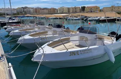 Tour privato in barca da Vieste: Baia delle Zagare e Pizzomunno