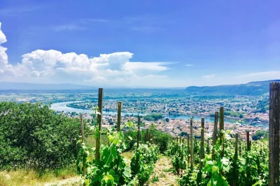 Meet rhône winemakers, taste côte-rôtie & hermitage wines, and travel from lyon in a small group with local guide and transport included.