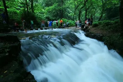 Passeggiata guidata a Jiuxi Stream e piantagione di tè Longjing