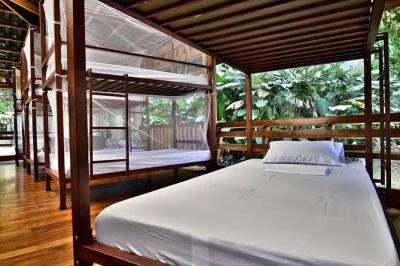 Corcovado, sirena station, trekking nella giungla, notte in rifugio, trasferimento in barca, guida locale, pasti inclusi, avvistamento animali selvatici.