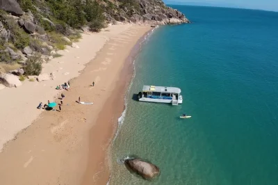 Magnetic island erleben: schnorcheln an korallenriffen, paddeln in ruhigen buchten und spannende geschichten von lokalen guides. inkl. ausrüstung, vormittagskaffee & kleine gruppe.