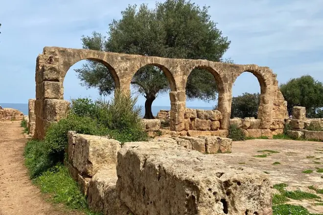 Tour privato di un giorno alle rovine romane di Tipaza da Algeri