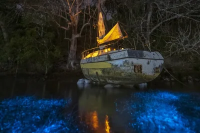 Feel the magic of nicoya’s glowing waters on a bioluminescent kayak tour, with local guide, snacks, and all gear included. includes pickup near paquera ferry.