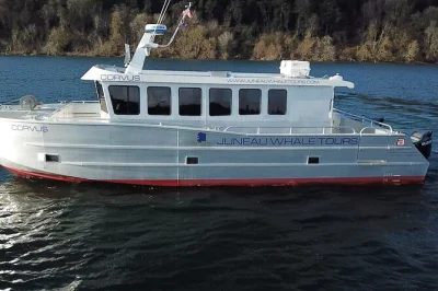 Découvrez l’excitation de l’observation des baleines à juneau à bord d’un catamaran cosy de 20 places, avec cabine chauffée, pont circulaire et prise en charge pour un trajet sans stress.