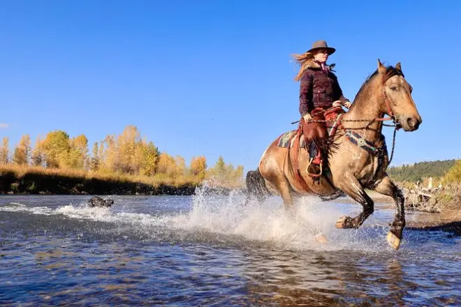 Horseback Riding Jackson Hole: Mountain Trail Experience