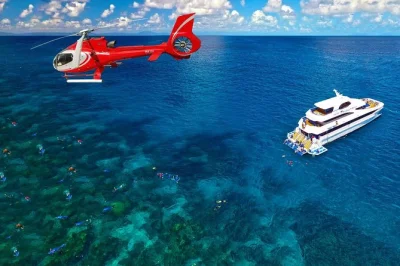 Erlebe das great barrier reef bei einer ganztägigen tour ab cairns: schnorcheln an zwei riffen, bbq-mittagessen, 10-minütiger hubschrauberflug und wein zum ausklang.