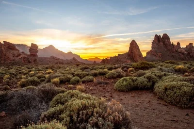 Scopri il teide con un’escursione privata da tenerife: funivia, paesaggi vulcanici e la vetta più alta di spagna, con pick-up e guida locale inclusi.