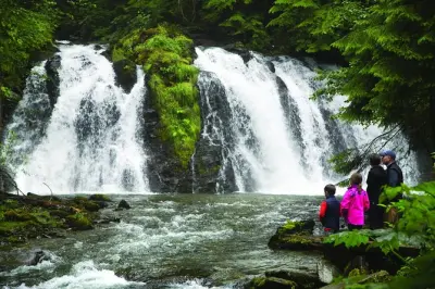 Goldwaschen in Juneau: Gold suchen & Lachsgrillen