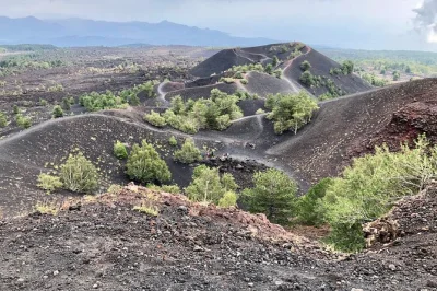 Feel the crunch of etna’s lava trails, taste sicilian wines with lunch, and catch the cool spray at alcantara gorge—all with pickup from taormina.