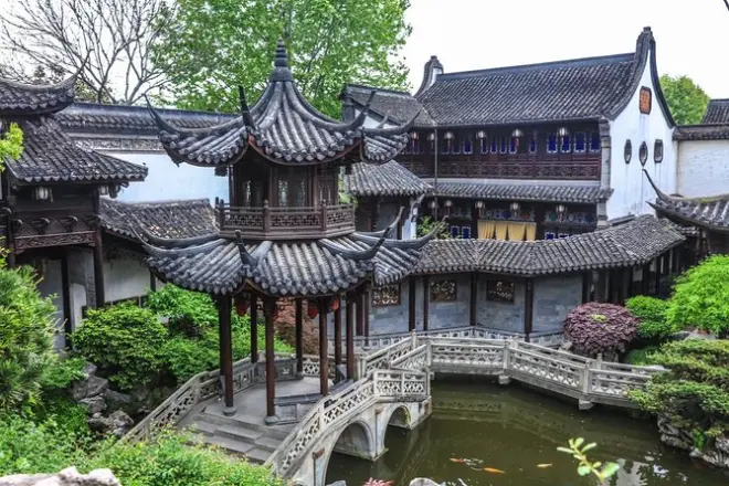 Dégustation de thé Longjing lors d’une visite privée à Hangzhou