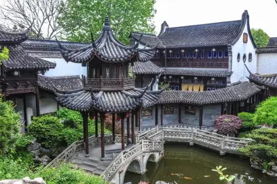 Degustazione di tè Longjing nella piantagione privata di Hangzhou