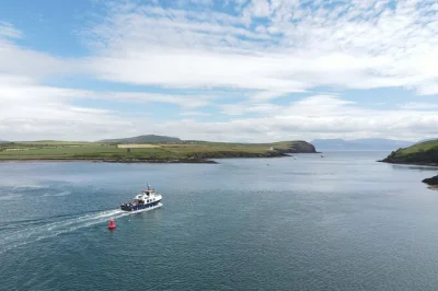 Feel the sea breeze on a dingle peninsula boat tour, hear stories of local history, and maybe spot dolphins. includes restroom onboard and wheelchair access.