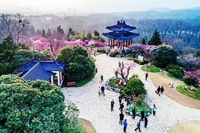 Montagne Pourpre de Nankin : Mausolée Sun-Yat Sen et tombe Ming