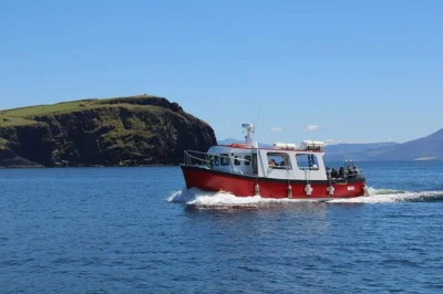 Feel the atlantic spray on a guided boat tour from dingle, exploring sea caves, red sandstone cliffs, and wildlife. includes restroom onboard and local guide insights.