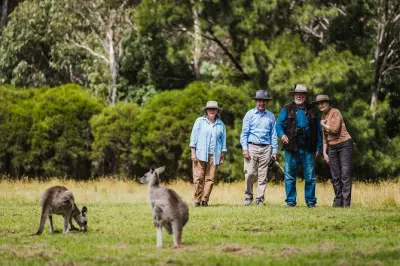 Kangaroos and Koalas in Canberra: Deep Space and Wildlife Tour