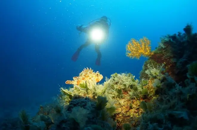 Immersioni in Dalmazia: 2 immersioni a Hvar e Brac