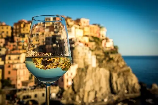 Manarola vineyard tour with sommelier: 3 local wines