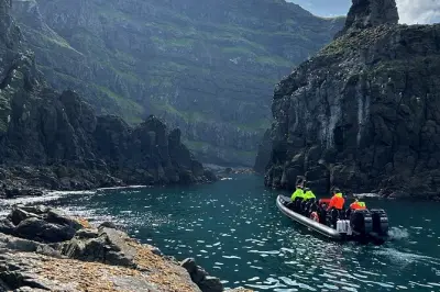 1 Hour Iceland Wildlife RIB Safari: Puffins & Seals