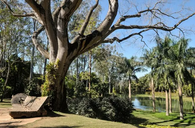 Inhotim Museumstour ab Belo Horizonte: 800 Kunstwerke
