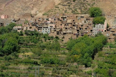 Montagnes de l’atlas depuis marrakech : visite coopérative d’huile d’argan, marchés berbères, randonnée à imlil, déjeuner local et balade à dos de chameau. réservez vite.