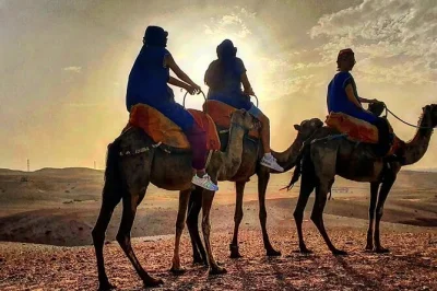 Vivi il tramonto nel deserto di agafay con un giro in cammello da marrakech, gusta una cena marocchina sotto le stelle e goditi uno spettacolo di fuoco—ritiro in hotel incluso.
