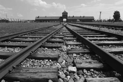 Auschwitz & birkenau bei krakau erleben: geführte tour mit hotelabholung, tickets inklusive und englischsprachigem guide.