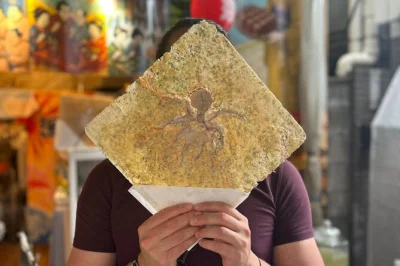 Follow a local guide through tokyo’s tsukiji fish market, taste fresh seafood and sweets at 15 authentic stops, visit shrines, and enjoy insider stories. includes photos.
