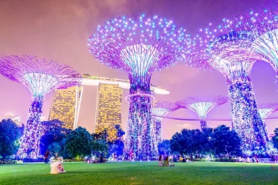 Erlebe singapur nach einbruch der dunkelheit mit einer flussfahrt, der supertree-lichtshow und spectra am marina bay sands. inklusive hoteltransfer und lokalem guide für einen entspannten abend.