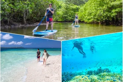 Descubre el lado salvaje de iriomote con una excursión que combina paddle surf o canoa en manglares y snorkel, guiada por locales. incluye recogida, equipo, duchas y fotos gratis.