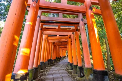 Explore os santuários de kyoto e o parque dos cervos em nara num passeio de um dia saindo de osaka, com guia particular, ingressos inclusos e transporte confortável.
