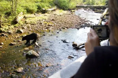 Wanderung mit Guide im Kananaskis Park nahe Canmore, 3 Stunden
