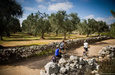 Ciclismo por Salento: Tour en bicicleta de 4 horas por Capo di Leuca