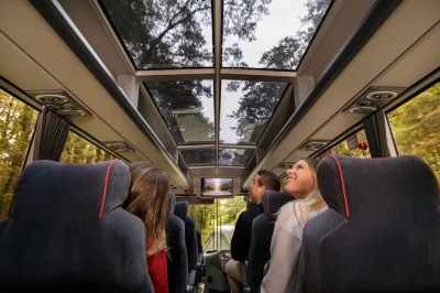 Erlebe die gischt der stirling falls, entdecke kea am monkey creek und genieße eine entspannte milford sound kreuzfahrt ab te anau. inkl. rückfahrt im bus, mittagessen und ortskundiger guide.