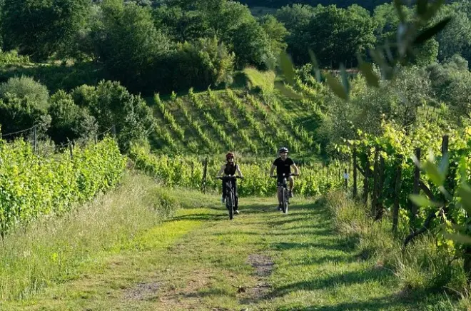 Monte Carlo di Lucca e-bike : Village médiéval et dégustation vin