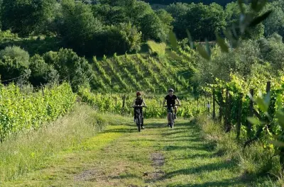 Monte Carlo di Lucca e-bike : Village médiéval et dégustation vin
