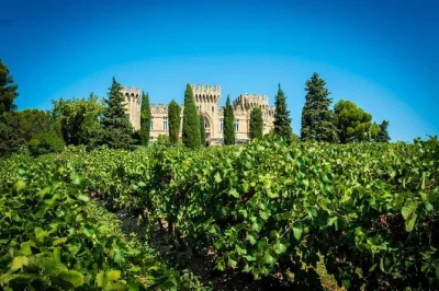 Feel the warmth of provence on a chateauneuf du pape wine tour with private tastings, family-run estates, and a local sommelier guide. includes transfers & lunch.