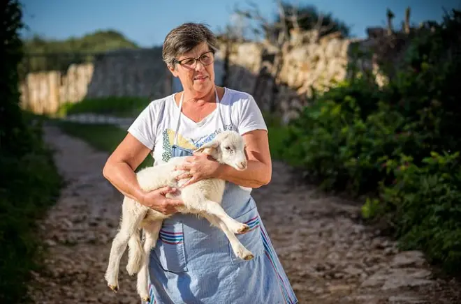 Dégustez 8 fromages artisanaux lors d'une visite à Minorque