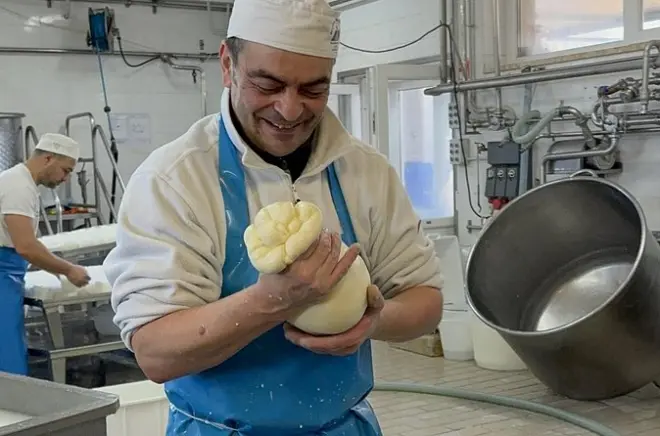 Masseria Cappella Mozzarella & Pasta Making: Learn from Dairymen