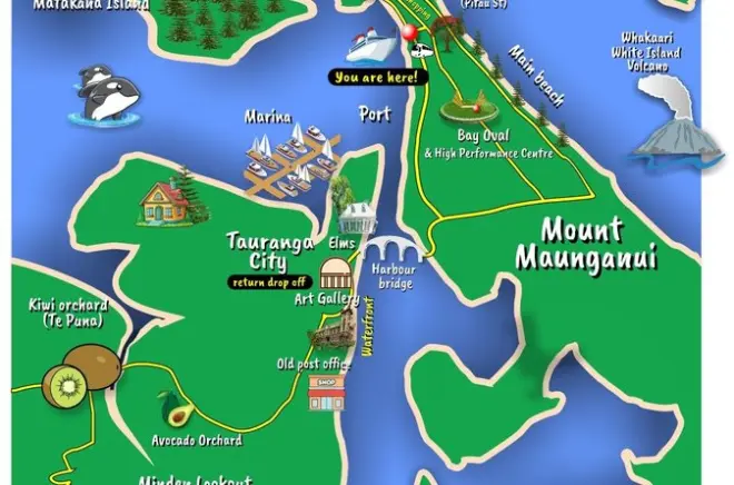 Tauranga tour en bus de 2 horas: Monte Maunganui, puerto y mirador
