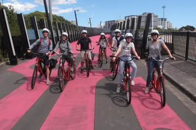 Feel the buzz of auckland’s neighborhoods on an electric bike tour with a local guide, small group, and all gear included. ride ponsonby, k road & the waterfront.