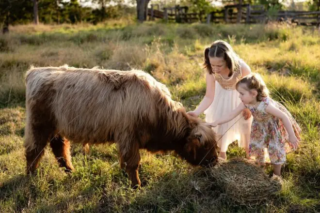 Farm Experience near Gympie & Noosa: Hands-on animal encounters