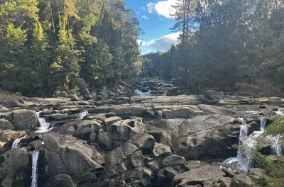 Caminata en McLaren Falls y Puketoki: Senderos en bosque nativo